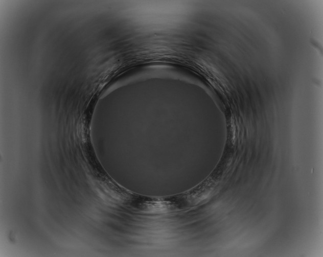 X0000095540316200712141530