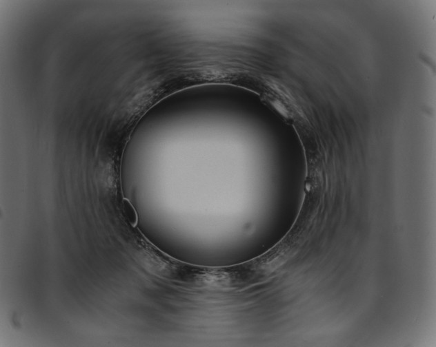 X0000095540317200712141530