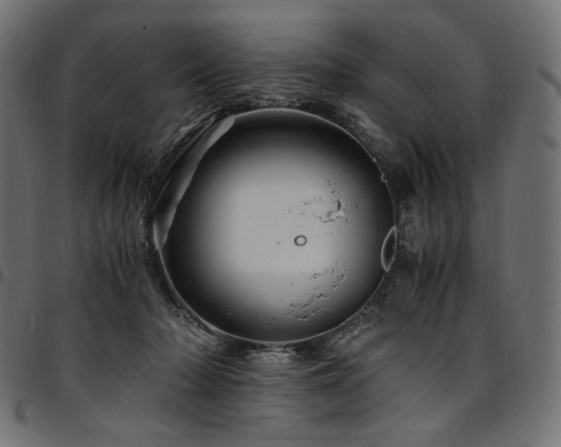 X0000095540318200712141530