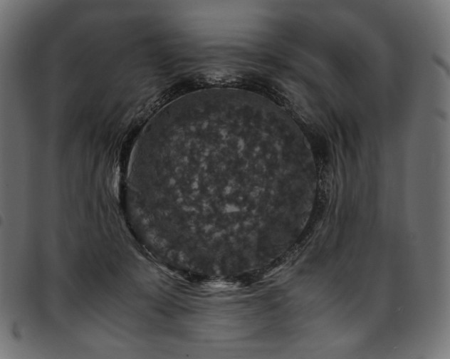 X0000095540319200712141530