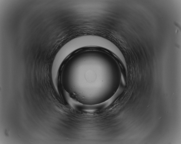 X0000095540320200712141530