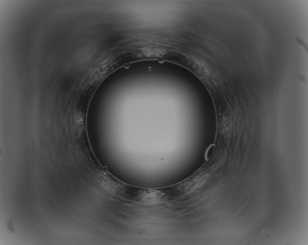 X0000095540321200712141530