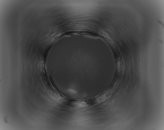 X0000095540322200712141530