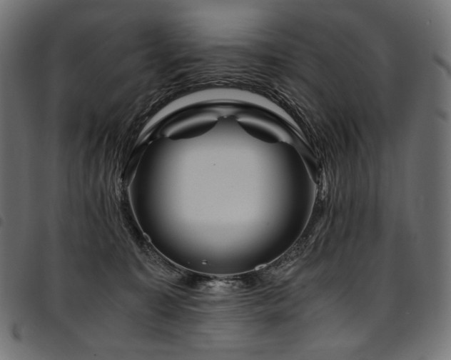 X0000095540323200712141530