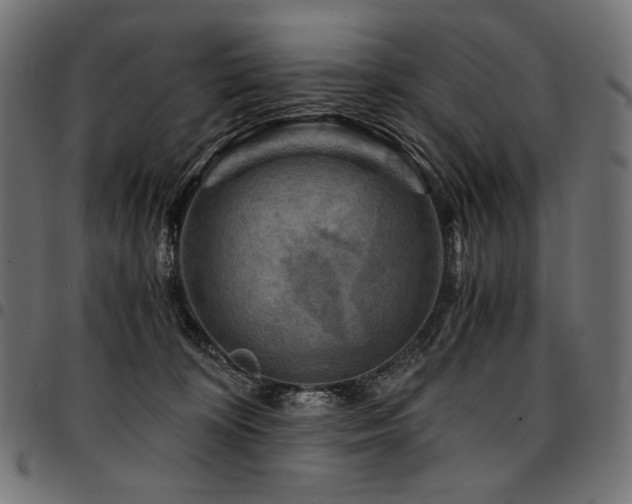 X0000095540324200712141530