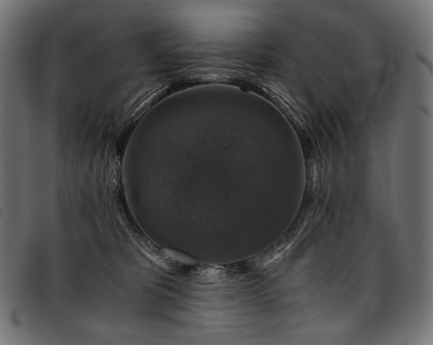 X0000095540325200712141530