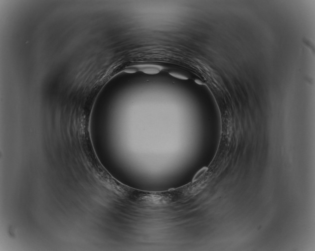 X0000095540326200712141530