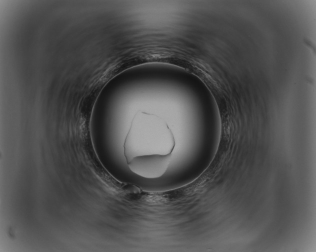 X0000095540327200712141530