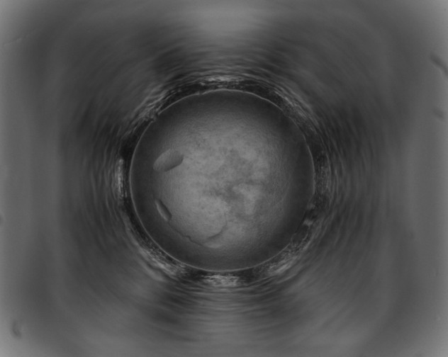 X0000095540328200712141530