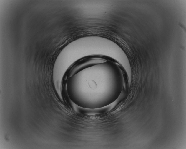 X0000095540329200712141530