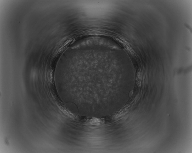 X0000095540330200712141530