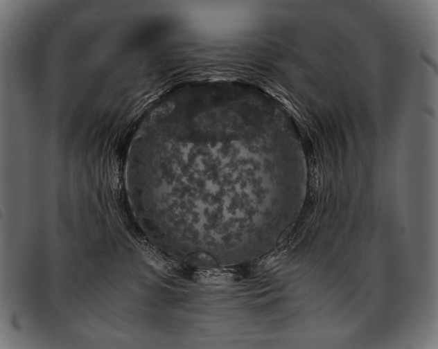 X0000095540331200712141530