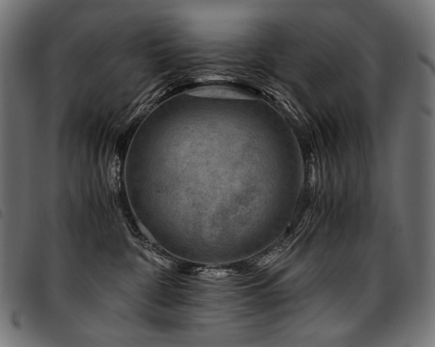 X0000095540332200712141530