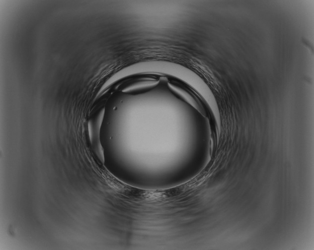 X0000095540333200712141530