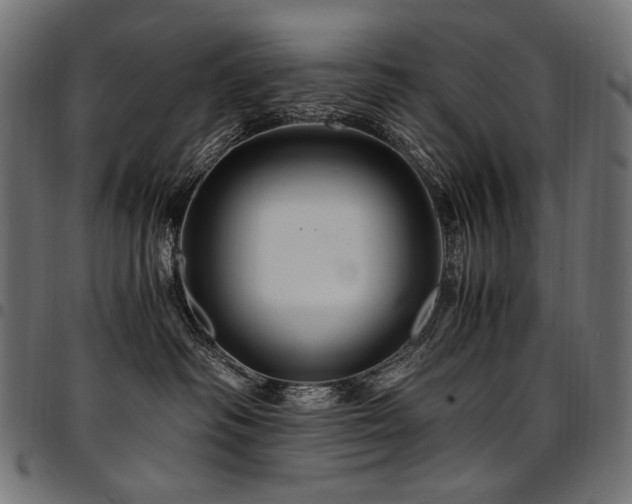 X0000095540334200712141530