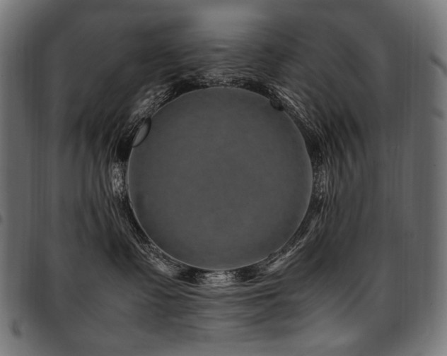 X0000095540335200712141530