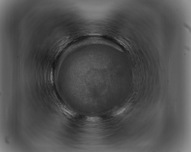 X0000095540336200712141530