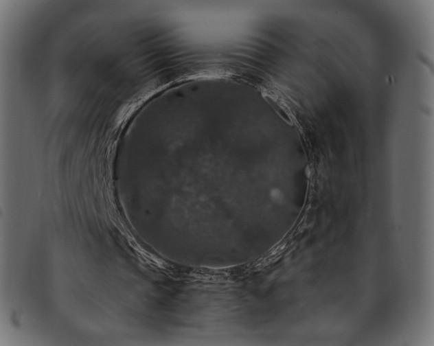 X0000095540337200712141529