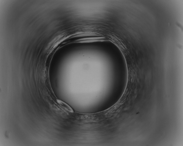 X0000095540338200712141529