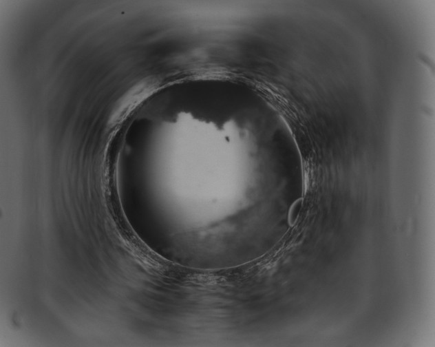 X0000095540339200712141529