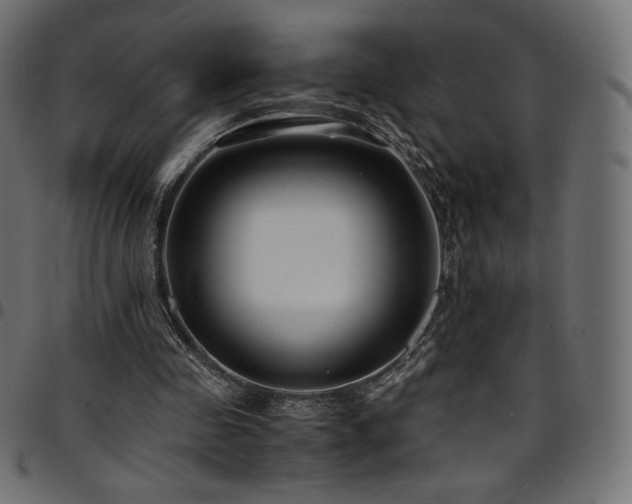 X0000095540341200712141529