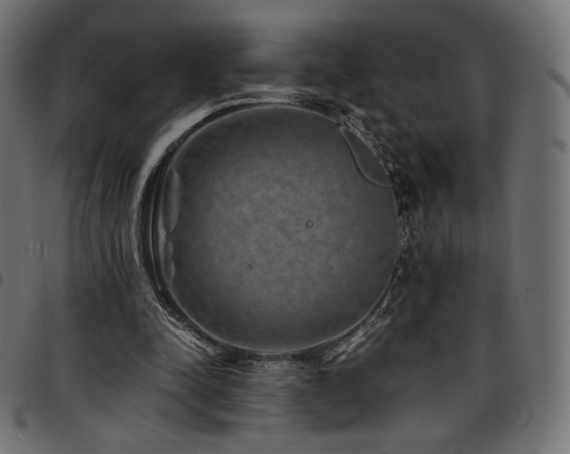 X0000095540342200712141529