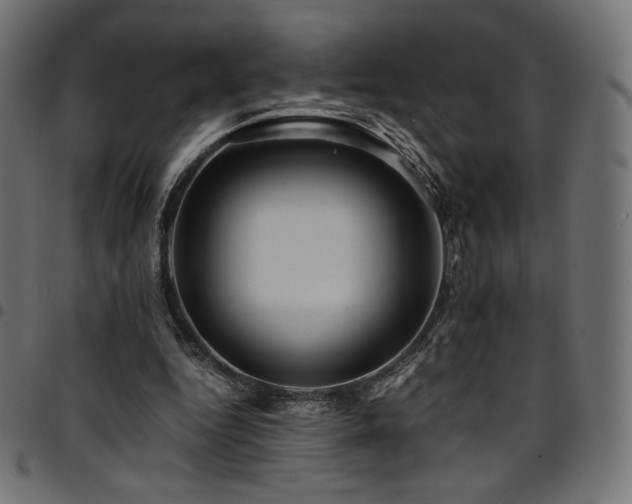 X0000095540344200712141529