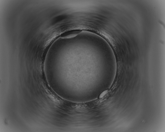 X0000095540345200712141529