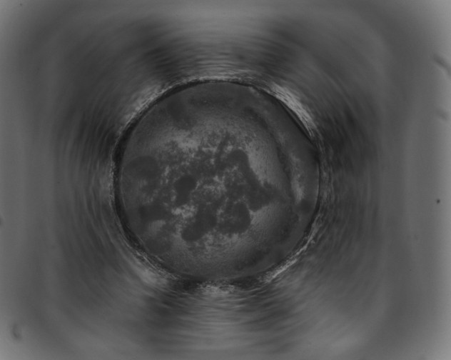 X0000095540346200712141529