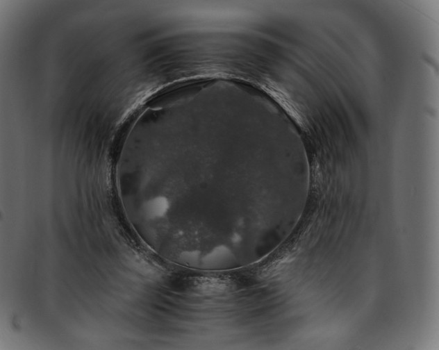 X0000095540347200712141529