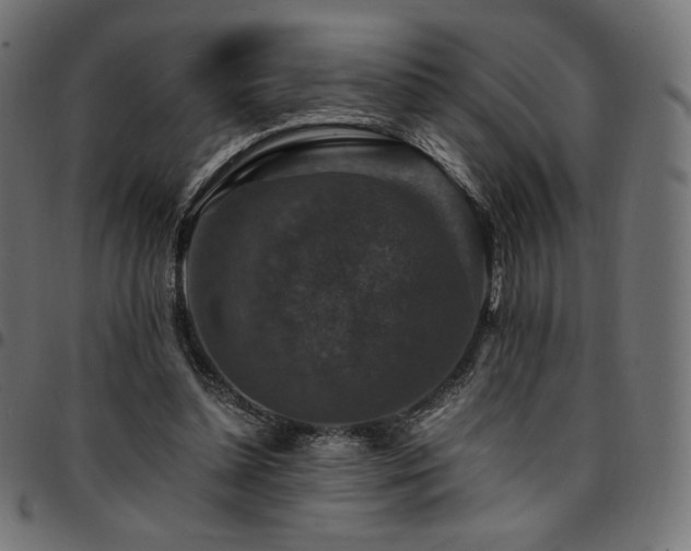 X0000095540348200712141529