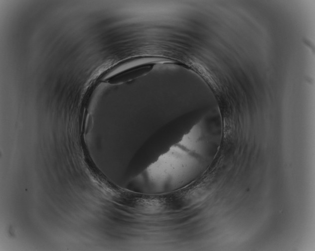 X0000095540349200712141529