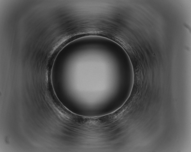 X0000095540350200712141529