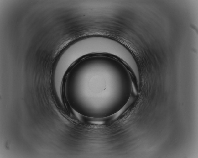 X0000095540352200712141529