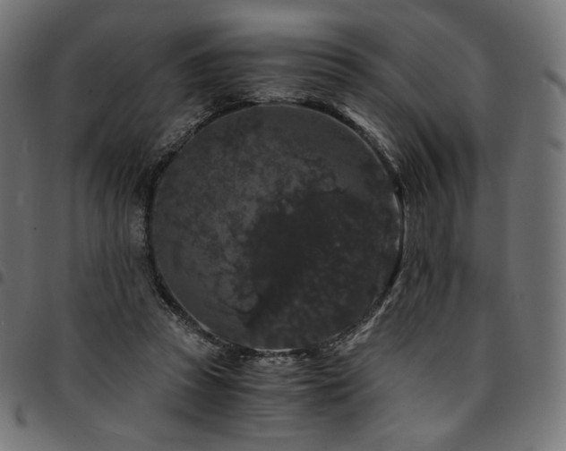 X0000095540353200712141529