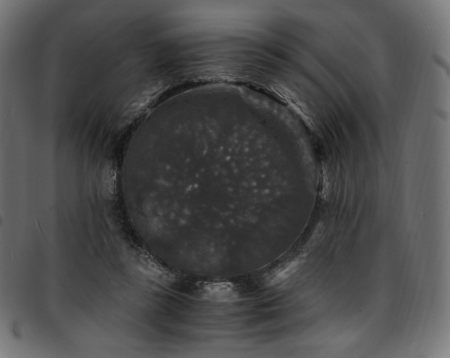 X0000095540355200712141529