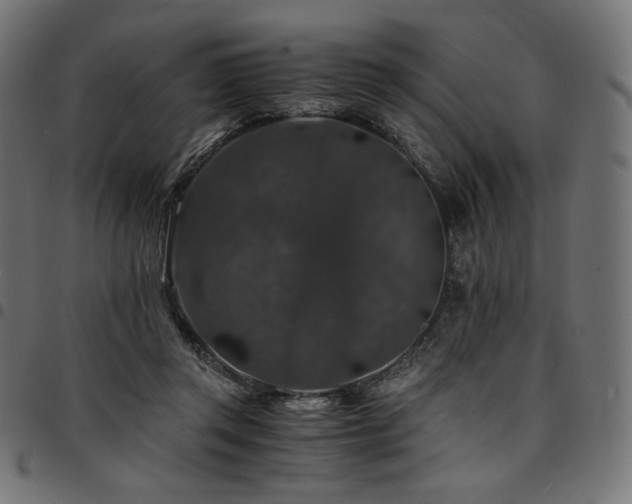 X0000095540357200712141529