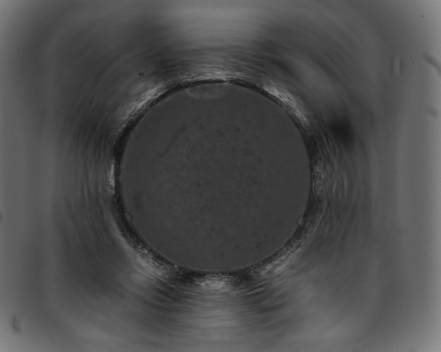 X0000095540358200712141529