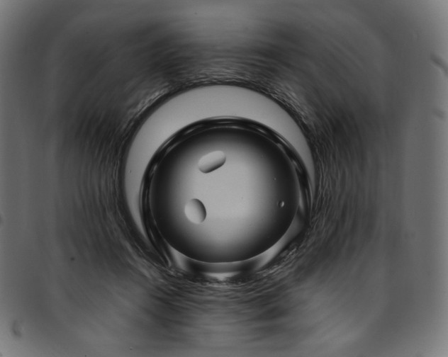 X0000095540360200712141530