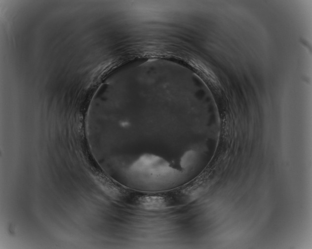 X0000095540361200712141530