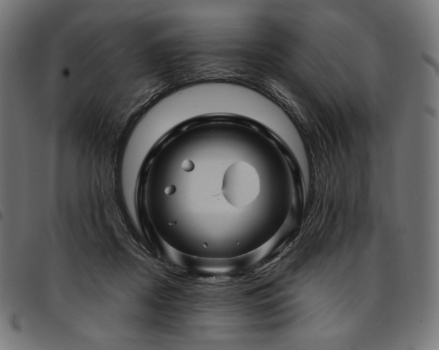 X0000095540362200712141530