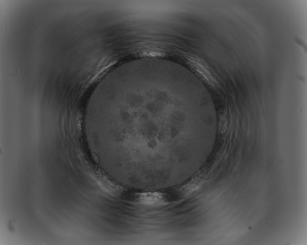 X0000095540363200712141530