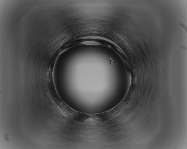 X0000095540364200712141530