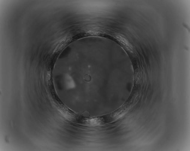 X0000095540365200712141530