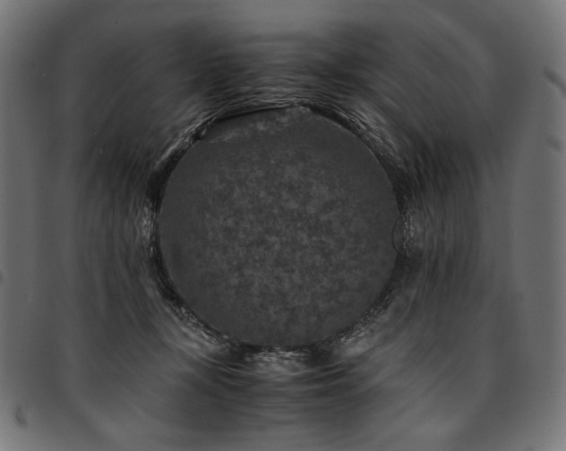 X0000095540367200712141530