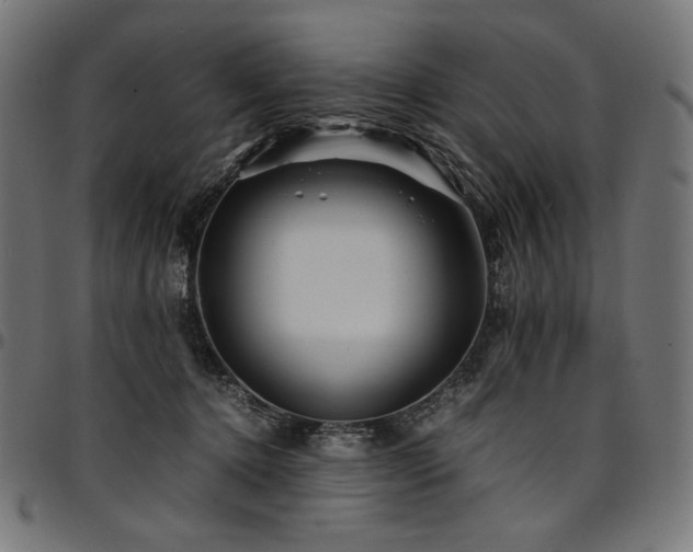 X0000095540368200712141530