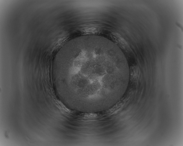 X0000095540369200712141530