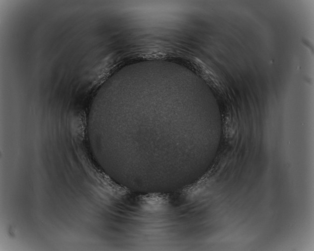 X0000095540370200712141530