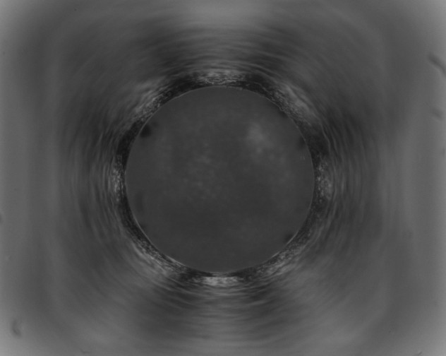 X0000095540371200712141530