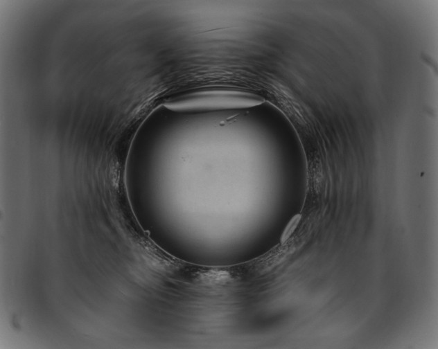 X0000095540374200712141530